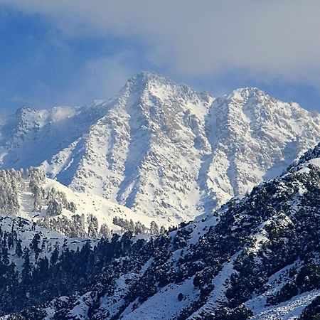 Hotel Bliss Valley Dharamshala - Beautiful View Of Mountains From Rooms ภายนอก รูปภาพ