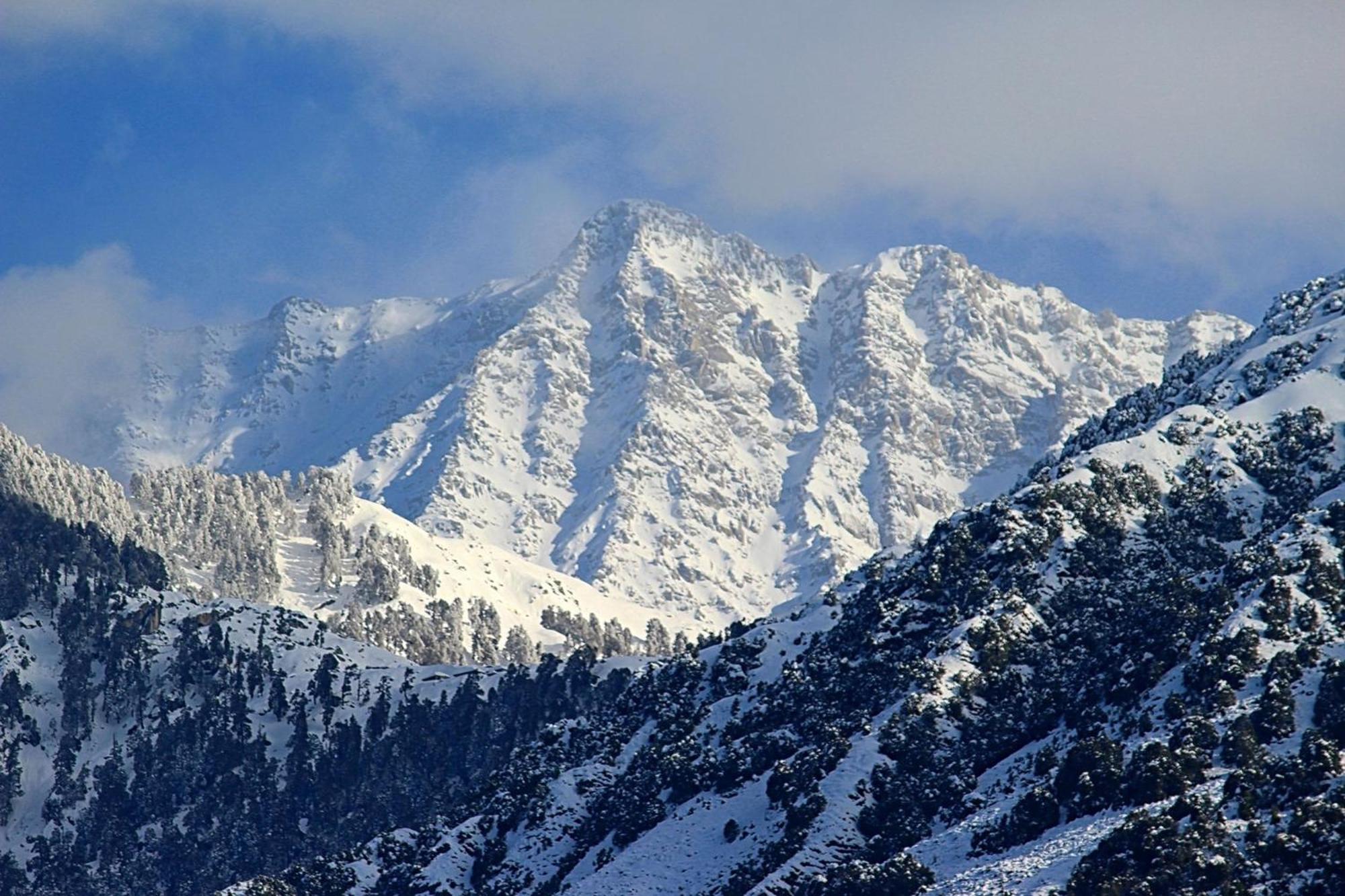 Hotel Bliss Valley Dharamshala - Beautiful View Of Mountains From Rooms ภายนอก รูปภาพ