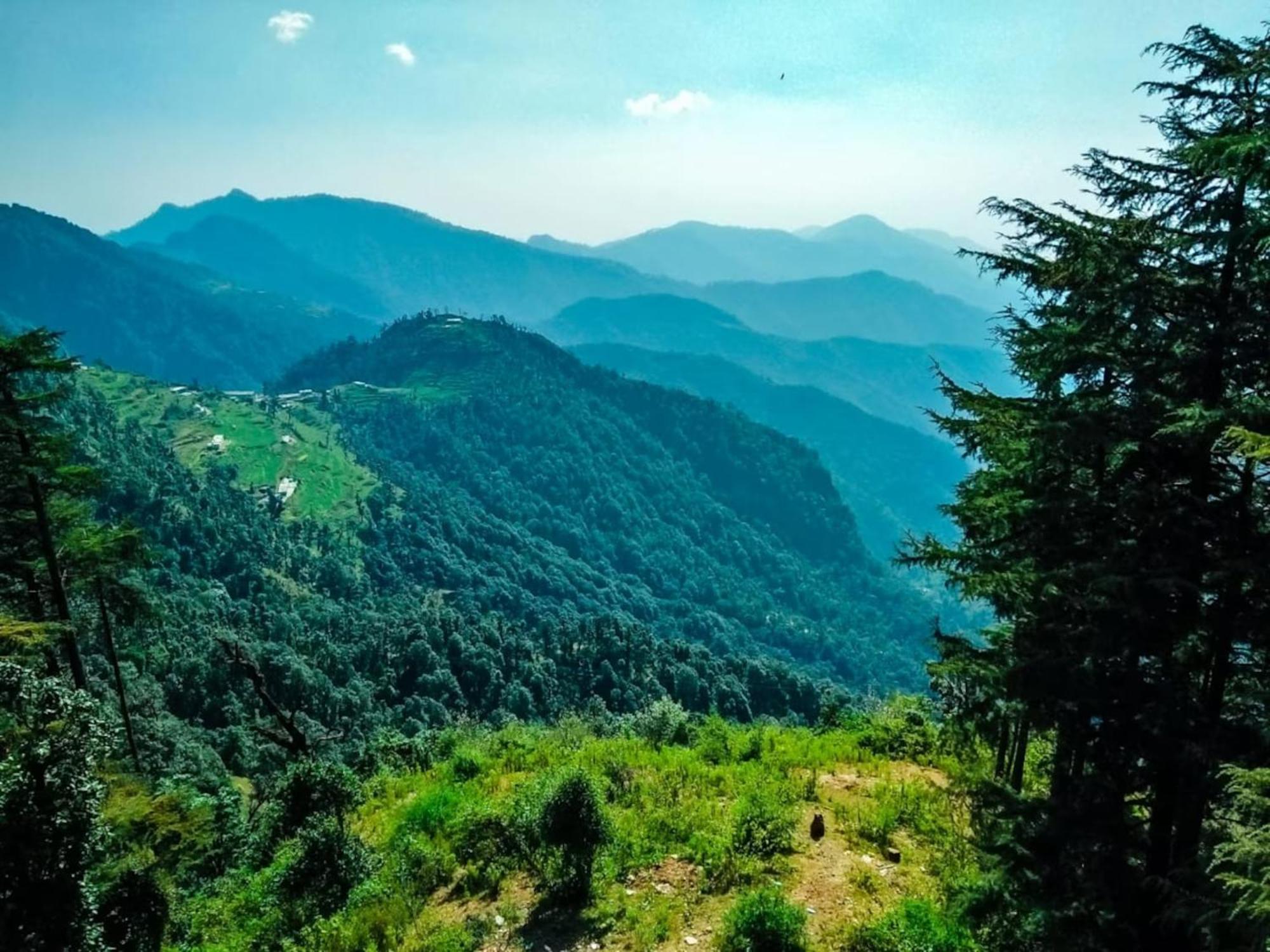 Hotel Bliss Valley Dharamshala - Beautiful View Of Mountains From Rooms ภายนอก รูปภาพ